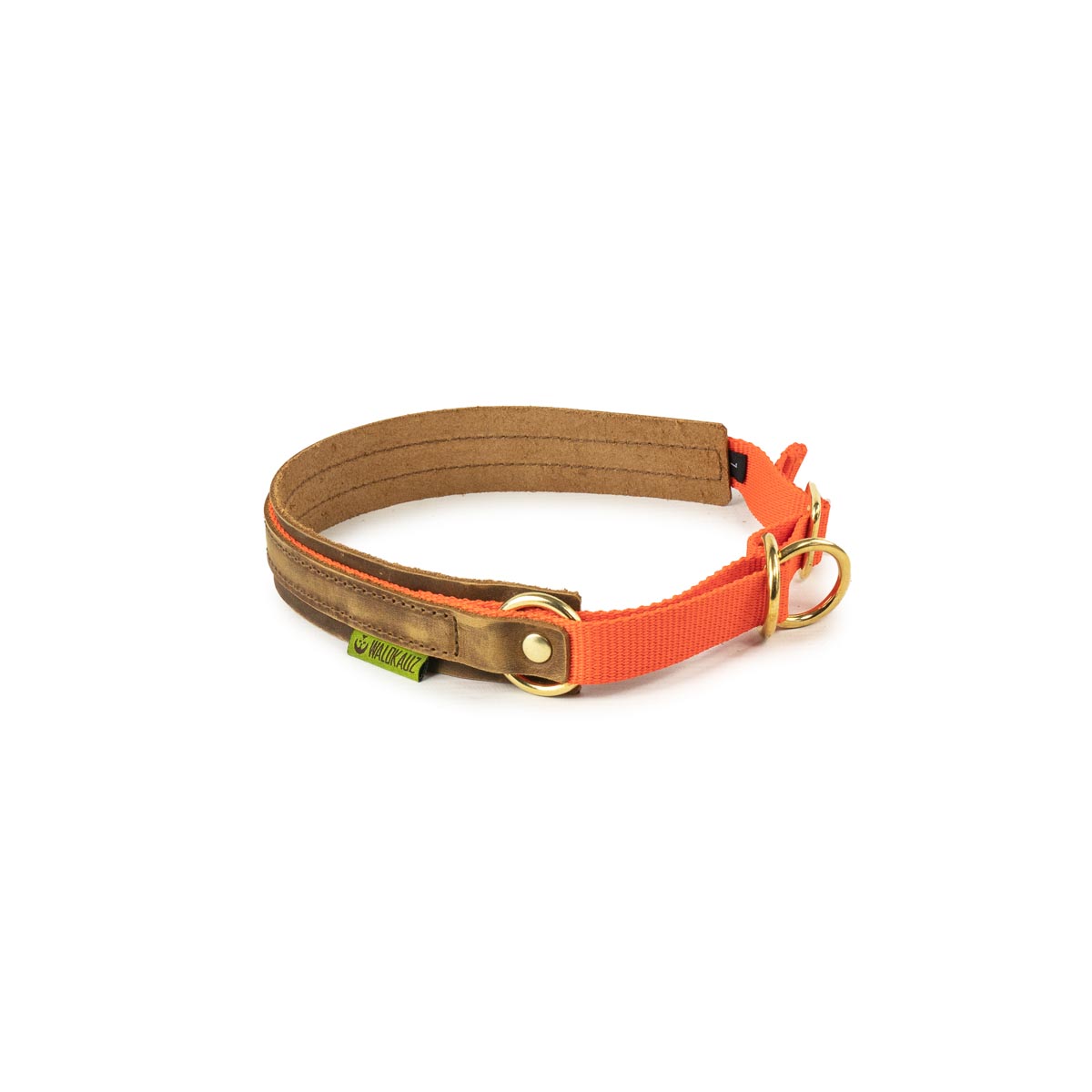 Zug-Stopp-Hundehalsband orange
