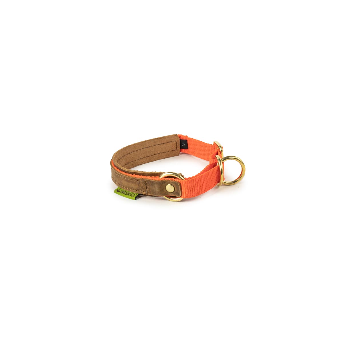kleines Zug-Stopp-Halsband orange