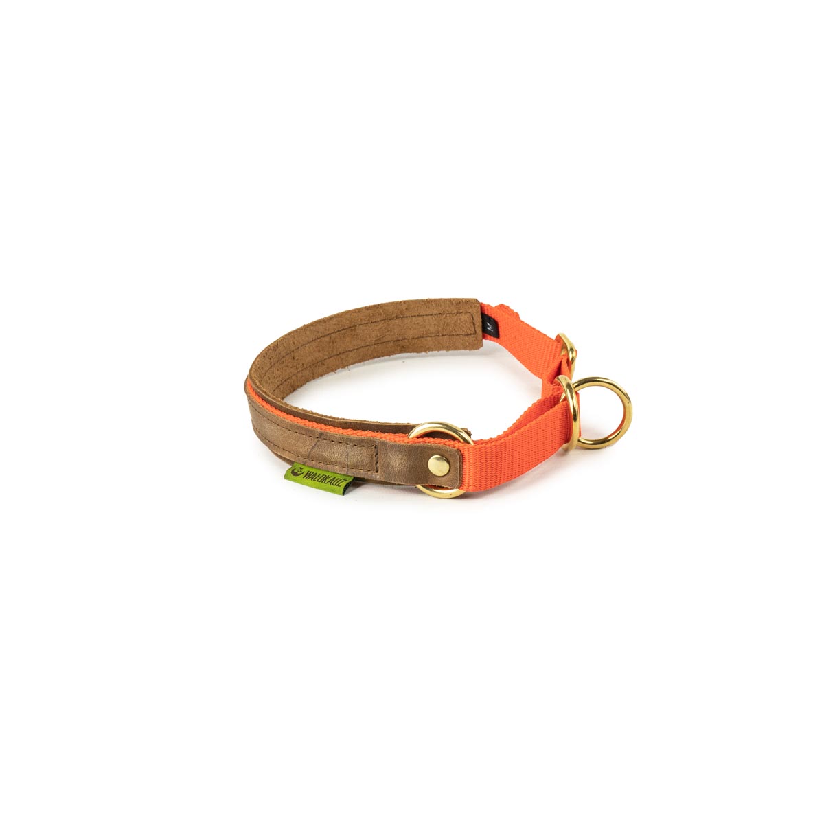 mittelgroßes Zug-Stopp-Halsband orange